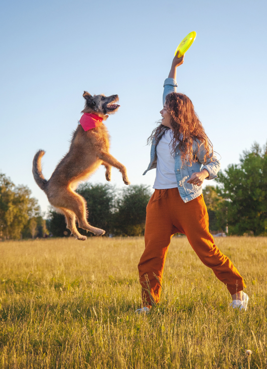 galeria_zabawa_z_psem